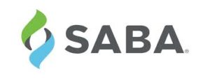 Saba Buys Lumesse: Fills Critical Gaps for Technology and Customer Acquisition